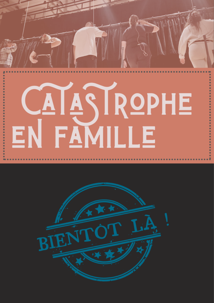 Affiche : Catastrophe en famille